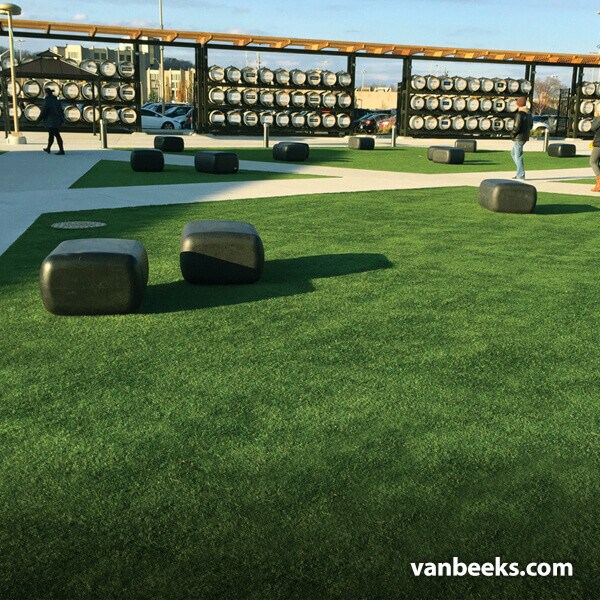 AGL Saratoga 60 Turf Preview